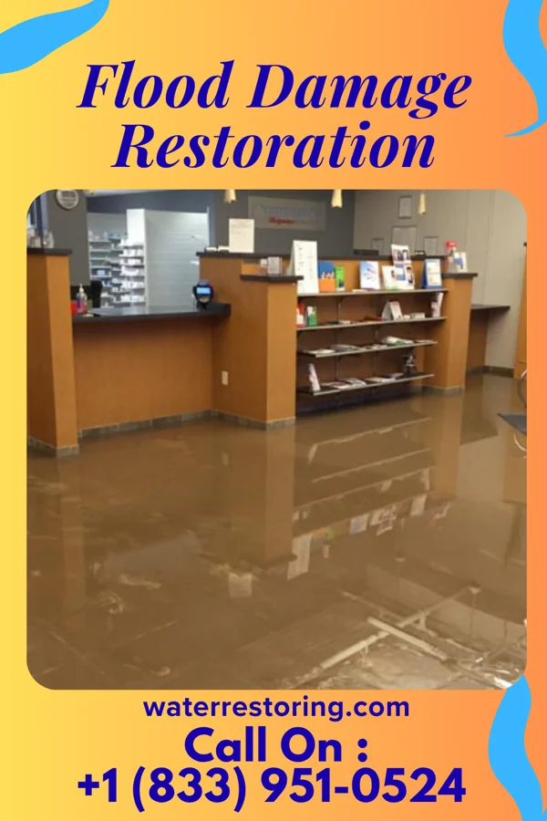 Flood Damage Restoration in Kekoskee, WI