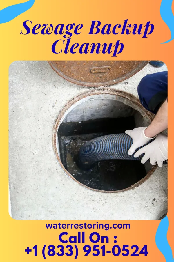 Sewage Backup Cleanup in Kekoskee, WI