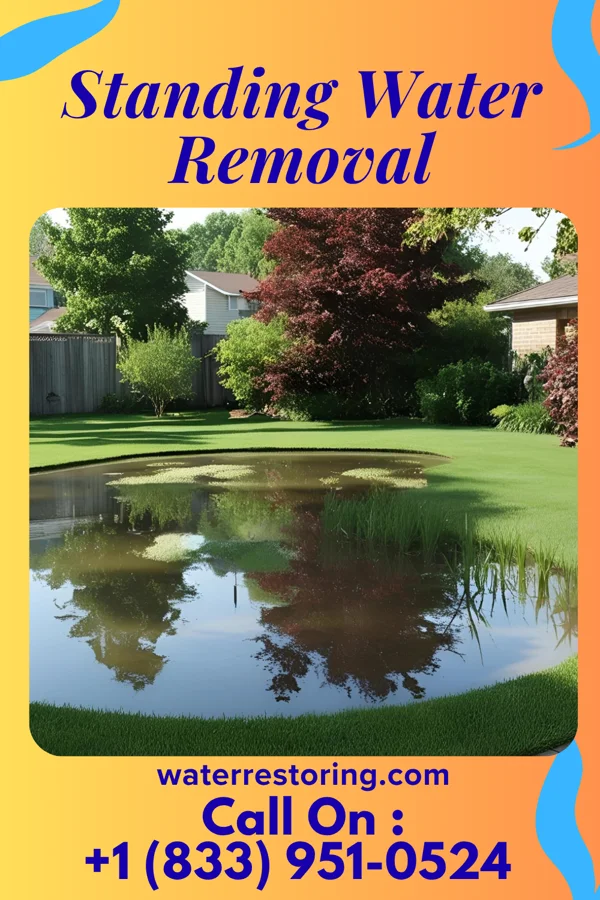 Standing Water Removal in Kekoskee, WI